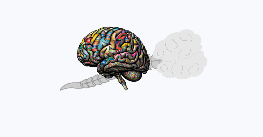 brain
