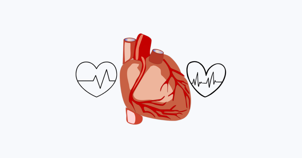 heart
